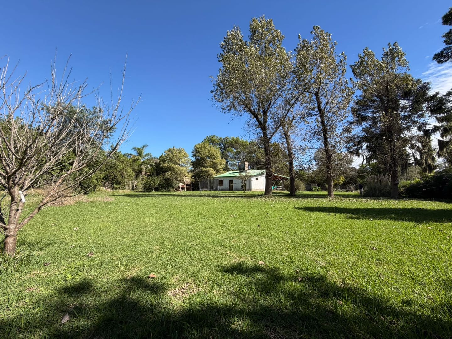 Vendo Casa Quinta con terreno de 2400 m2 foto 9