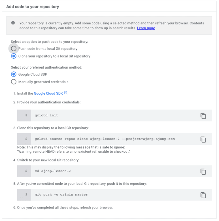 Google Cloud Repository Code Clone