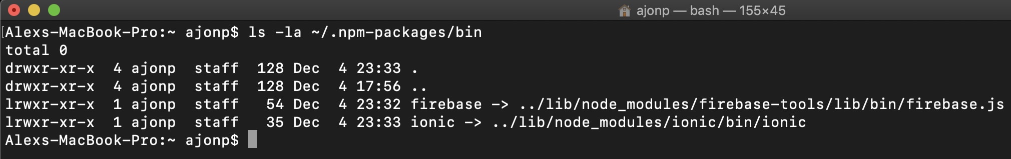 npm install success