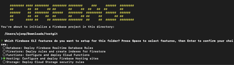 Firebase Hosting