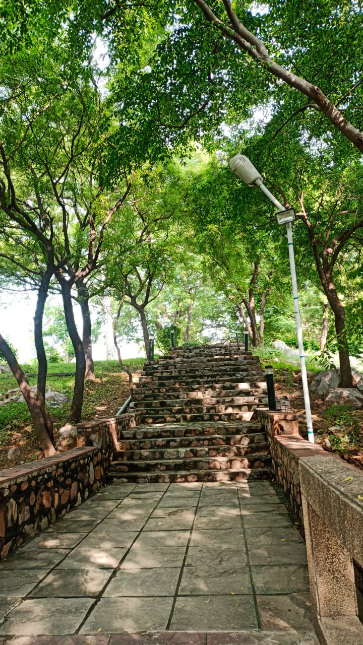 Nature photograph