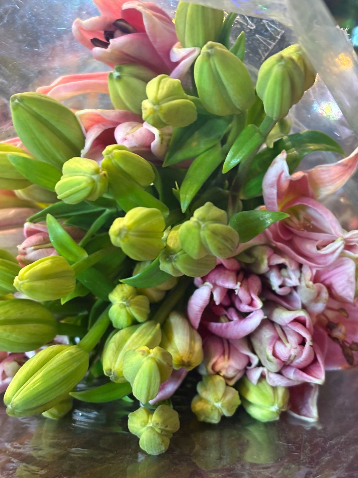 Flower photograph