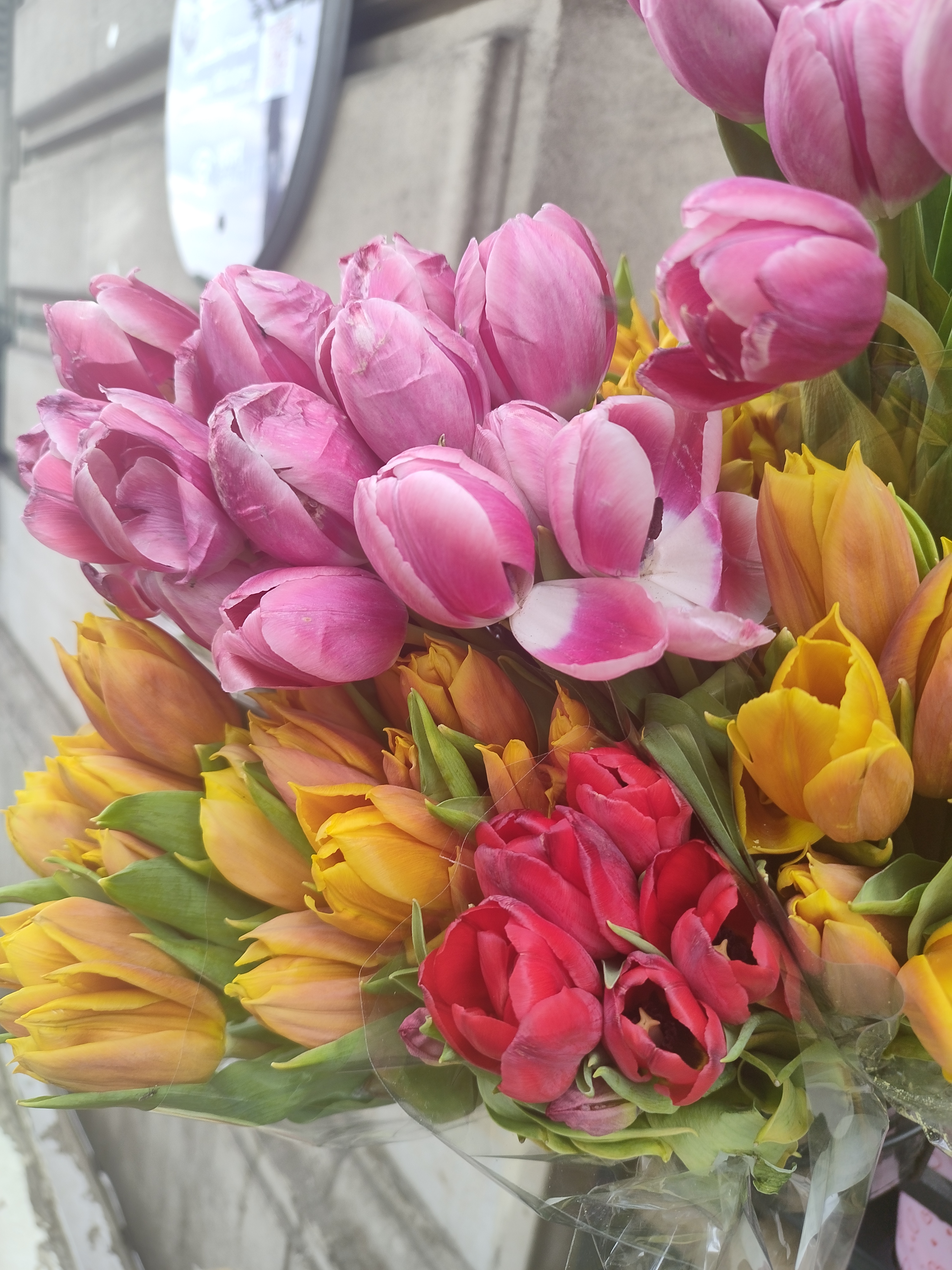 Flower photograph