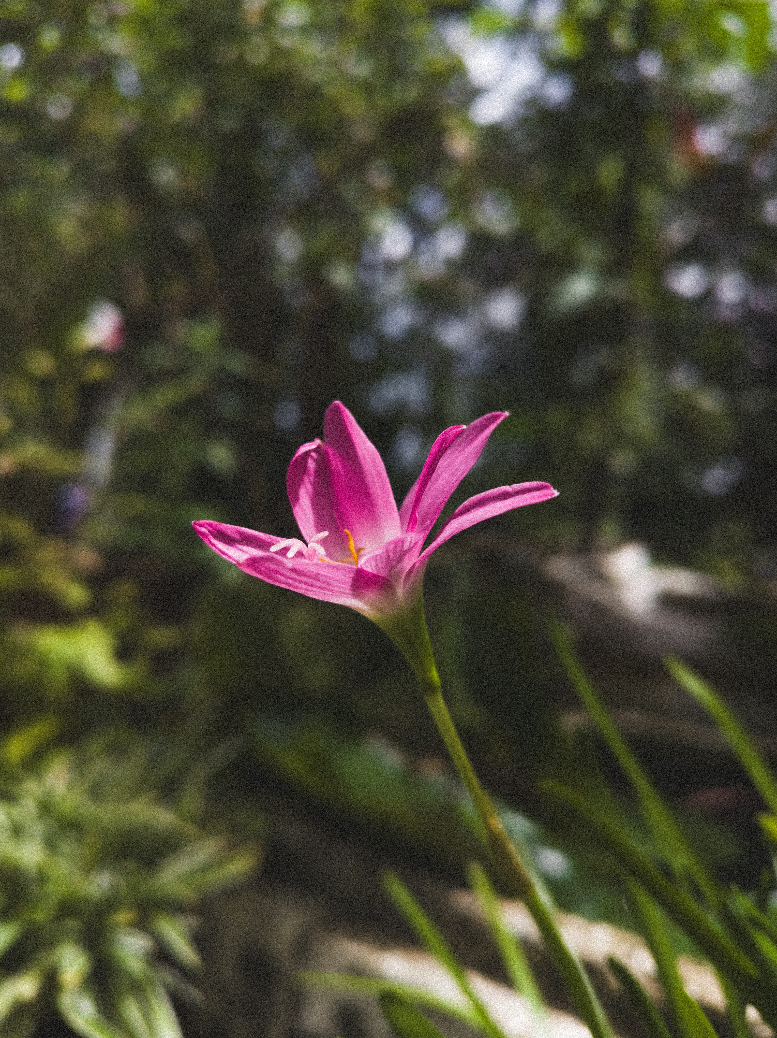 Photography capture 9