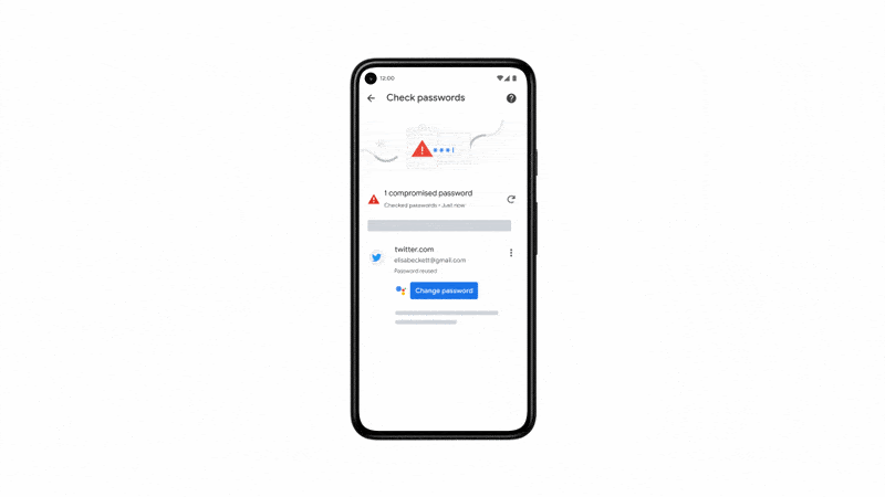 Google Chrome Parola Yöneticisi