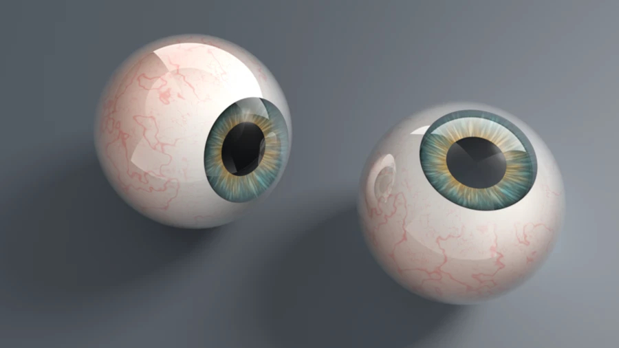 Eye study