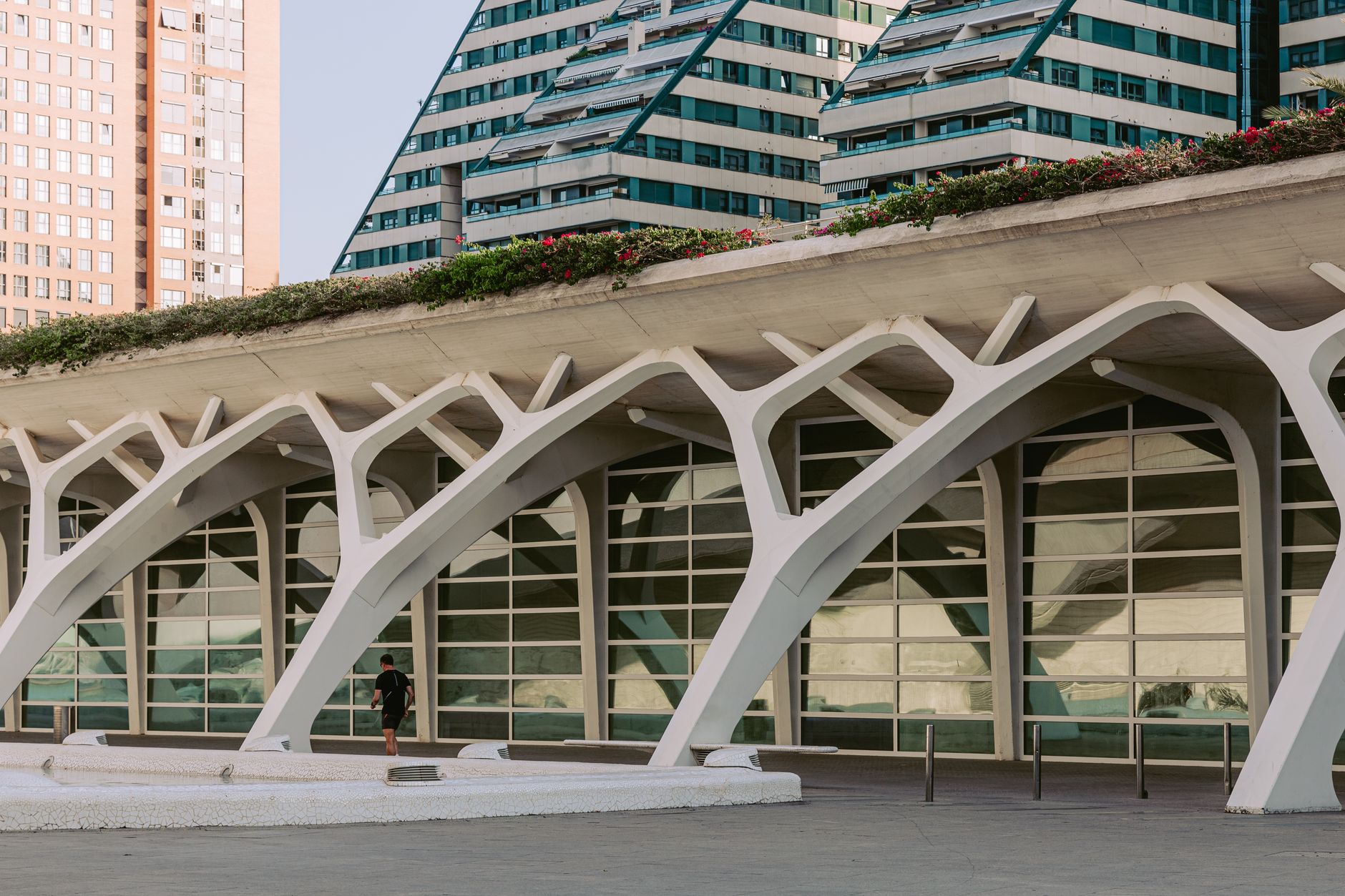 The Architecture of Daily Vitality: Beyond the Biohacking Noise