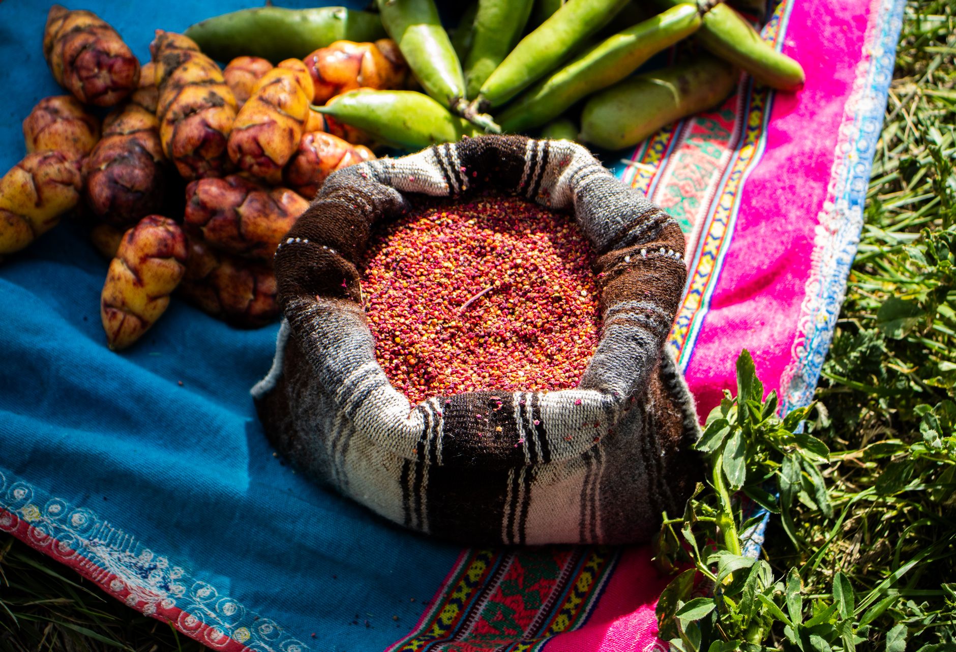 Food Sovereignty Reclaiming Right to Food