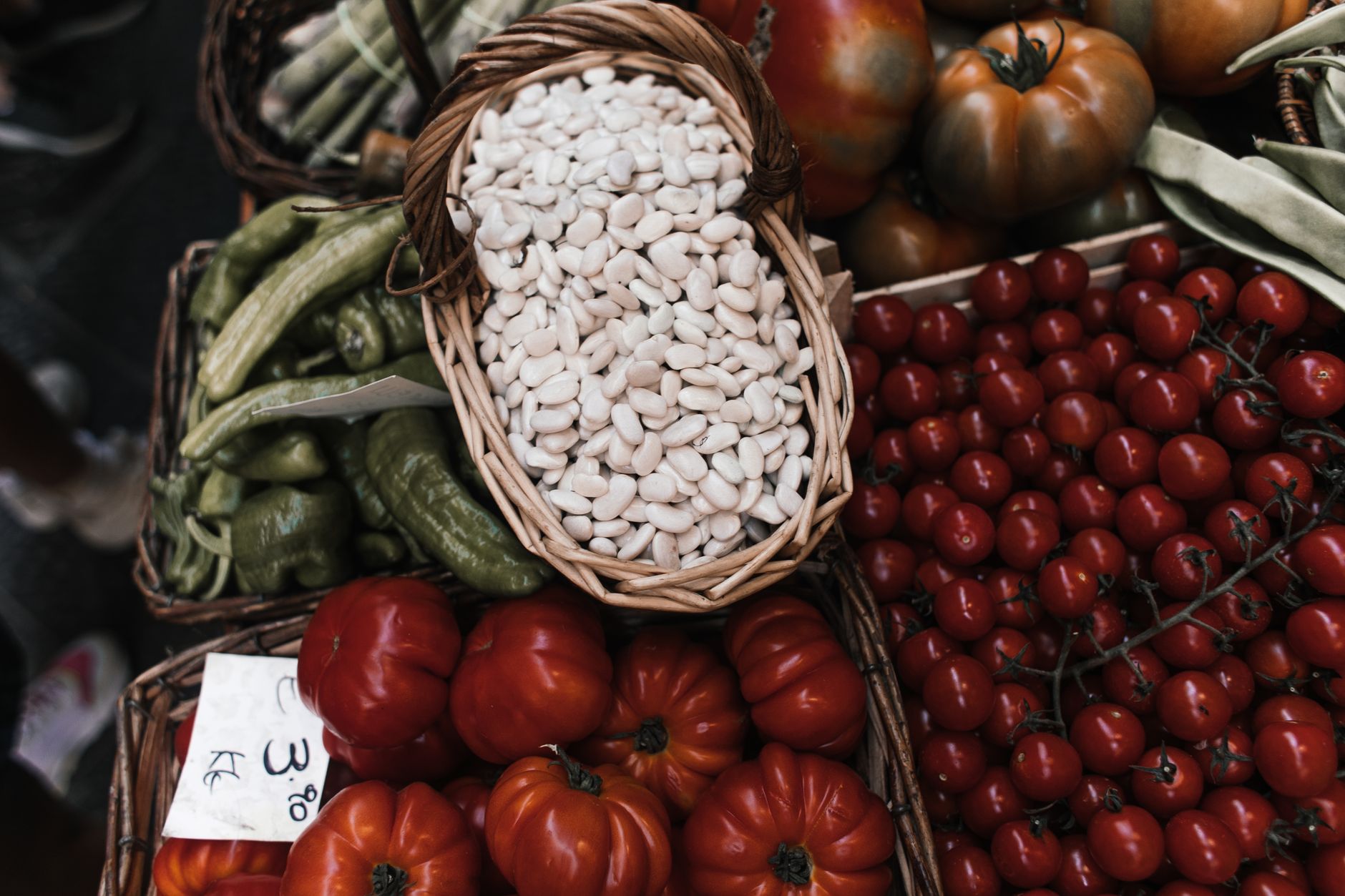 Navigating the World of Nutrition: Exploring Healthy Eating Habits and Diets for Optimal Well-being