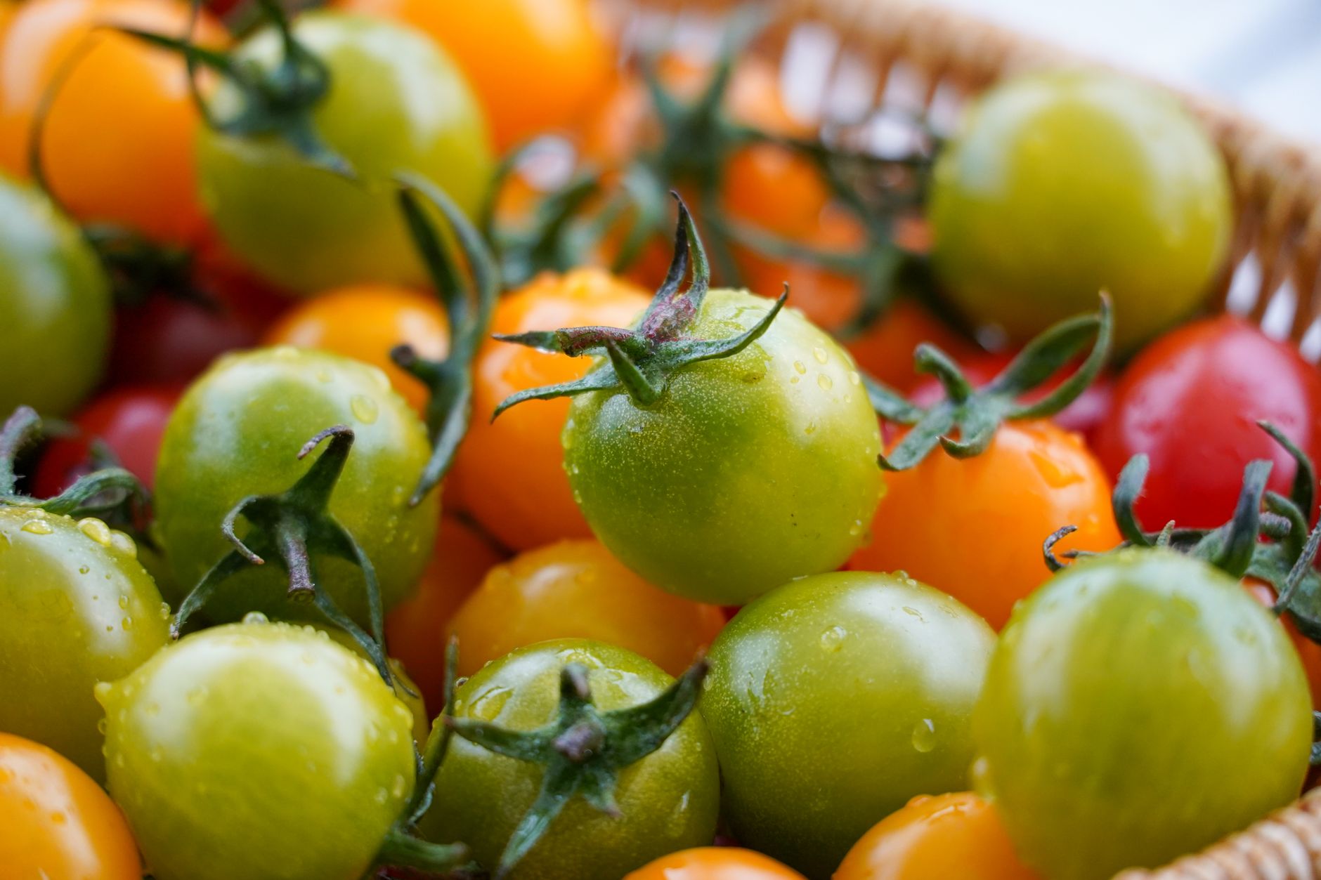 Preserve Cherry Tomatoes Using These Methods and Recipes