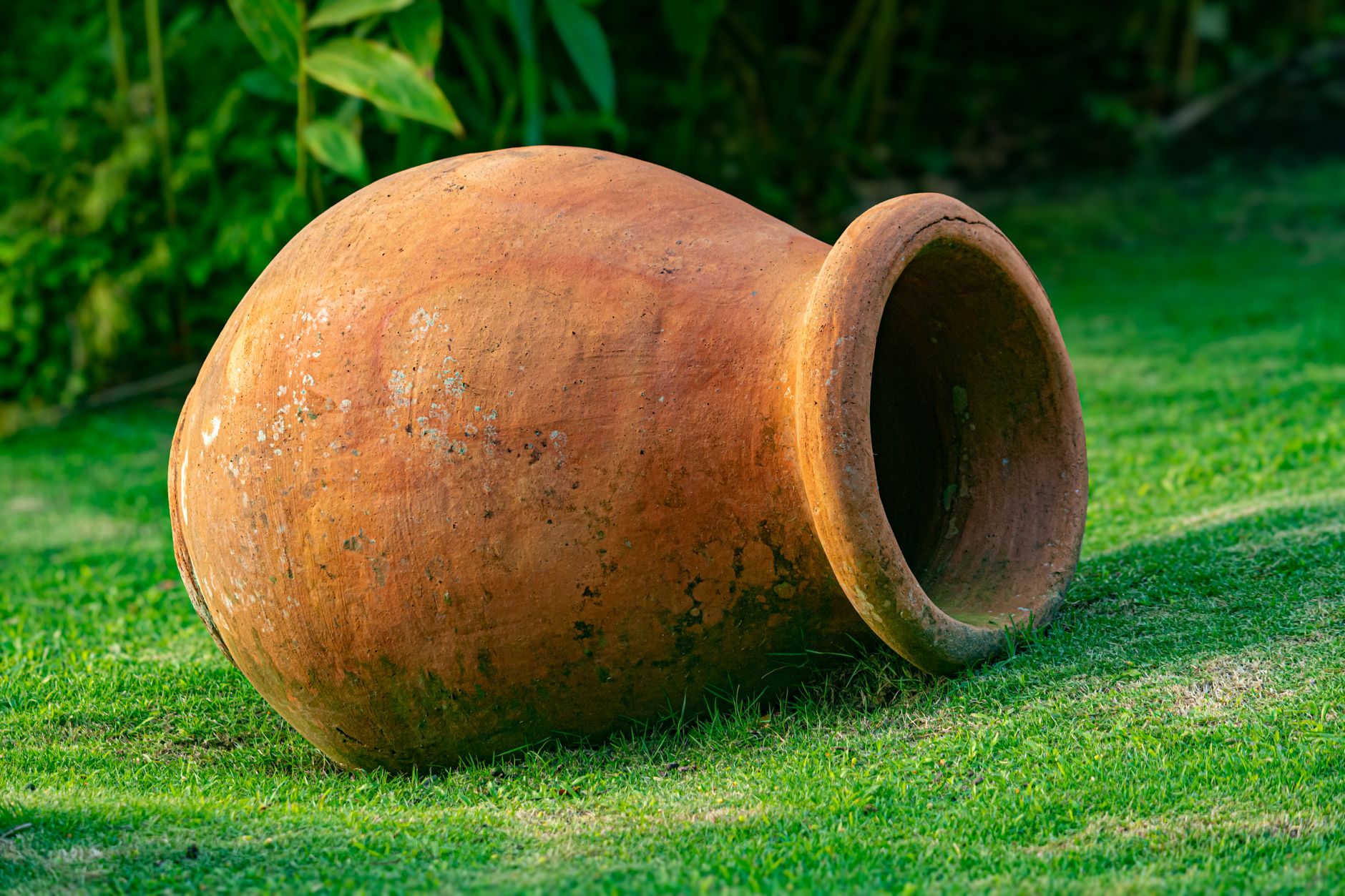 Creative Garden Designs Replace Traditional Lawns