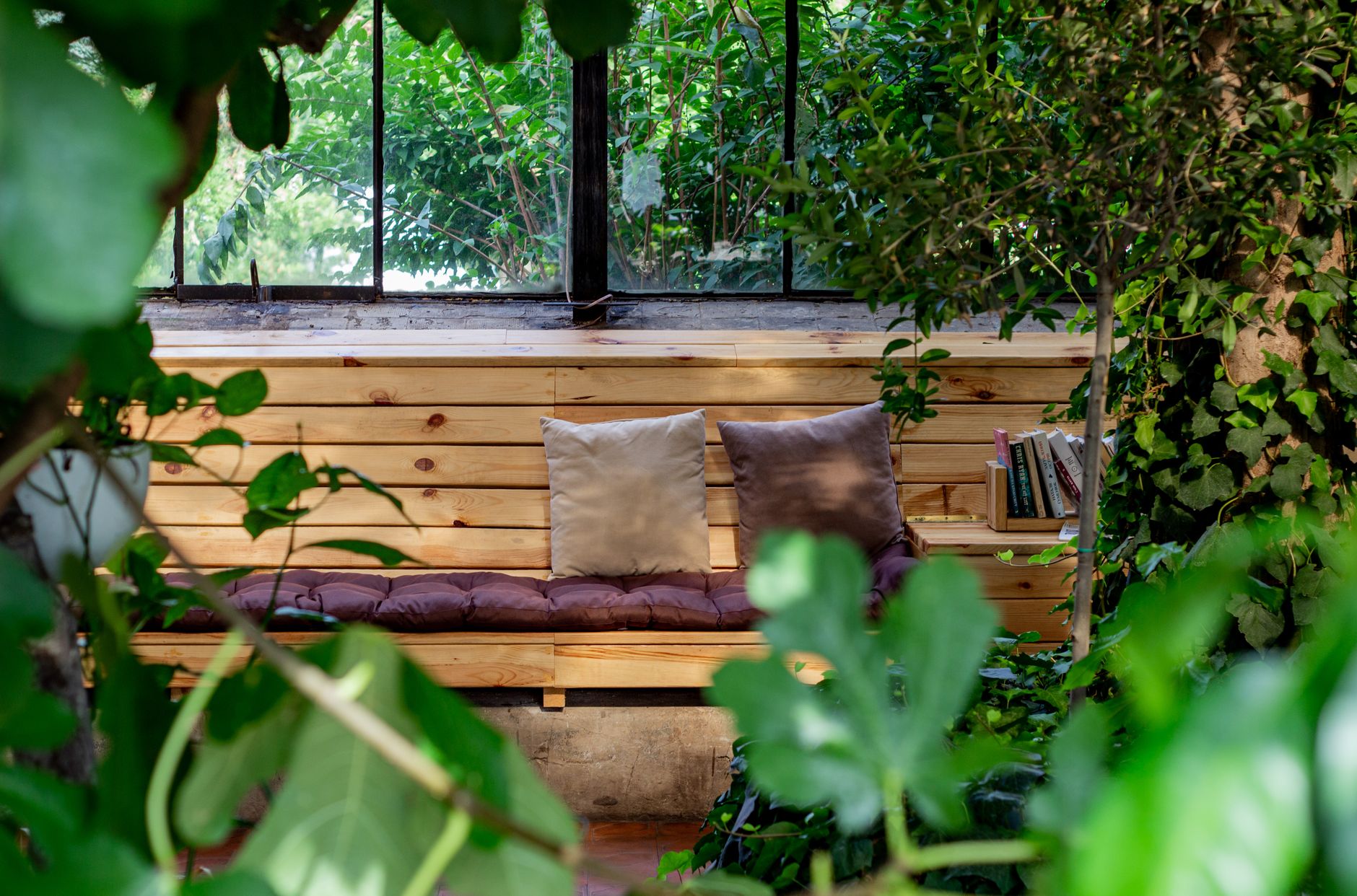 Plants to Keep Outdoor Spaces Cool