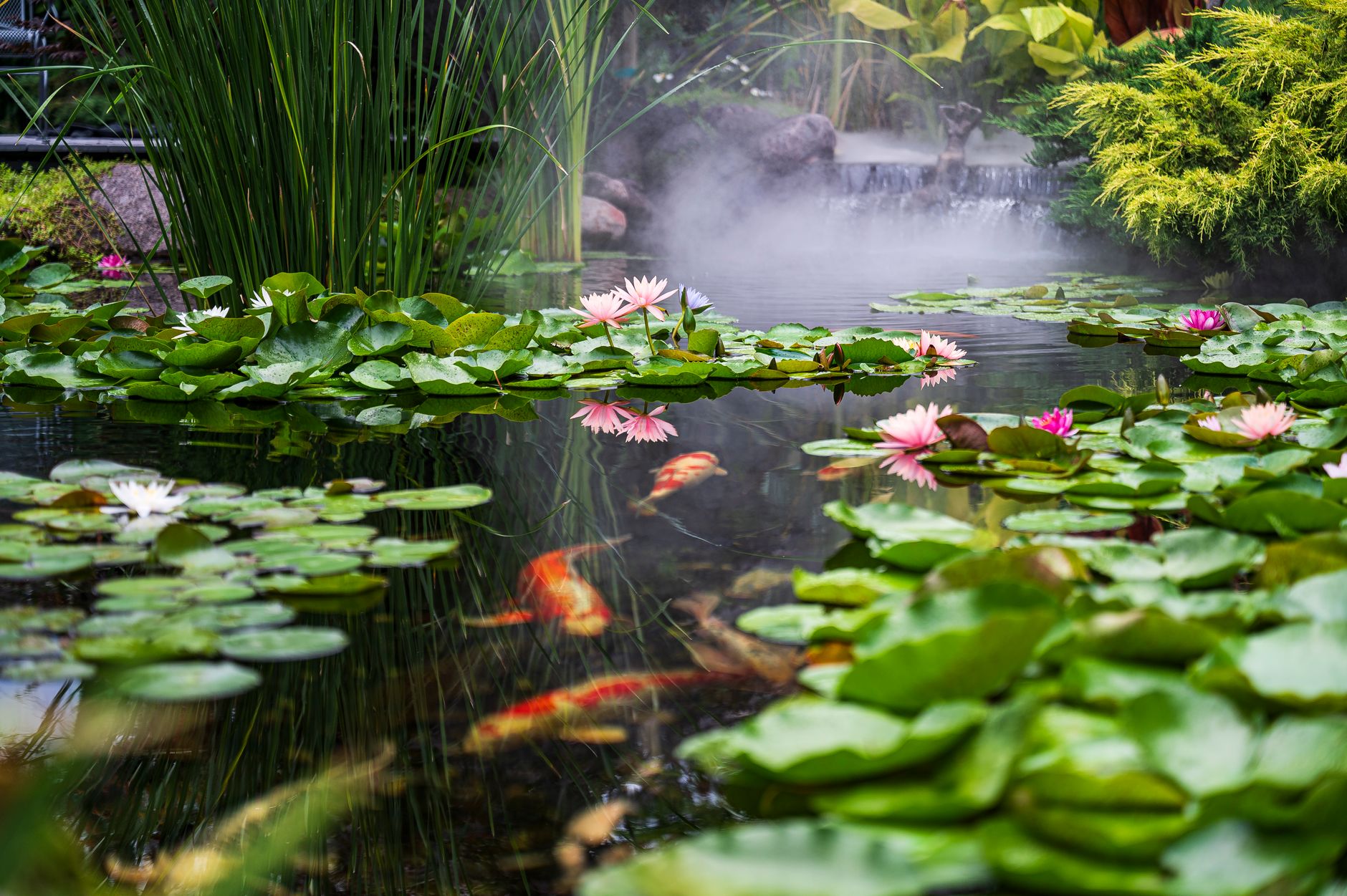 DIY Pondless Waterfall Kit Transforms Backyard Elegance