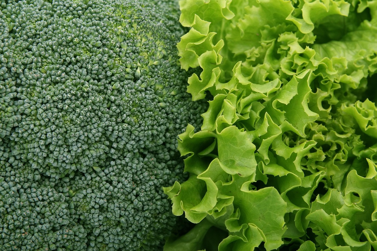 4 Easy Steps to Live a Natural Healthy Diet