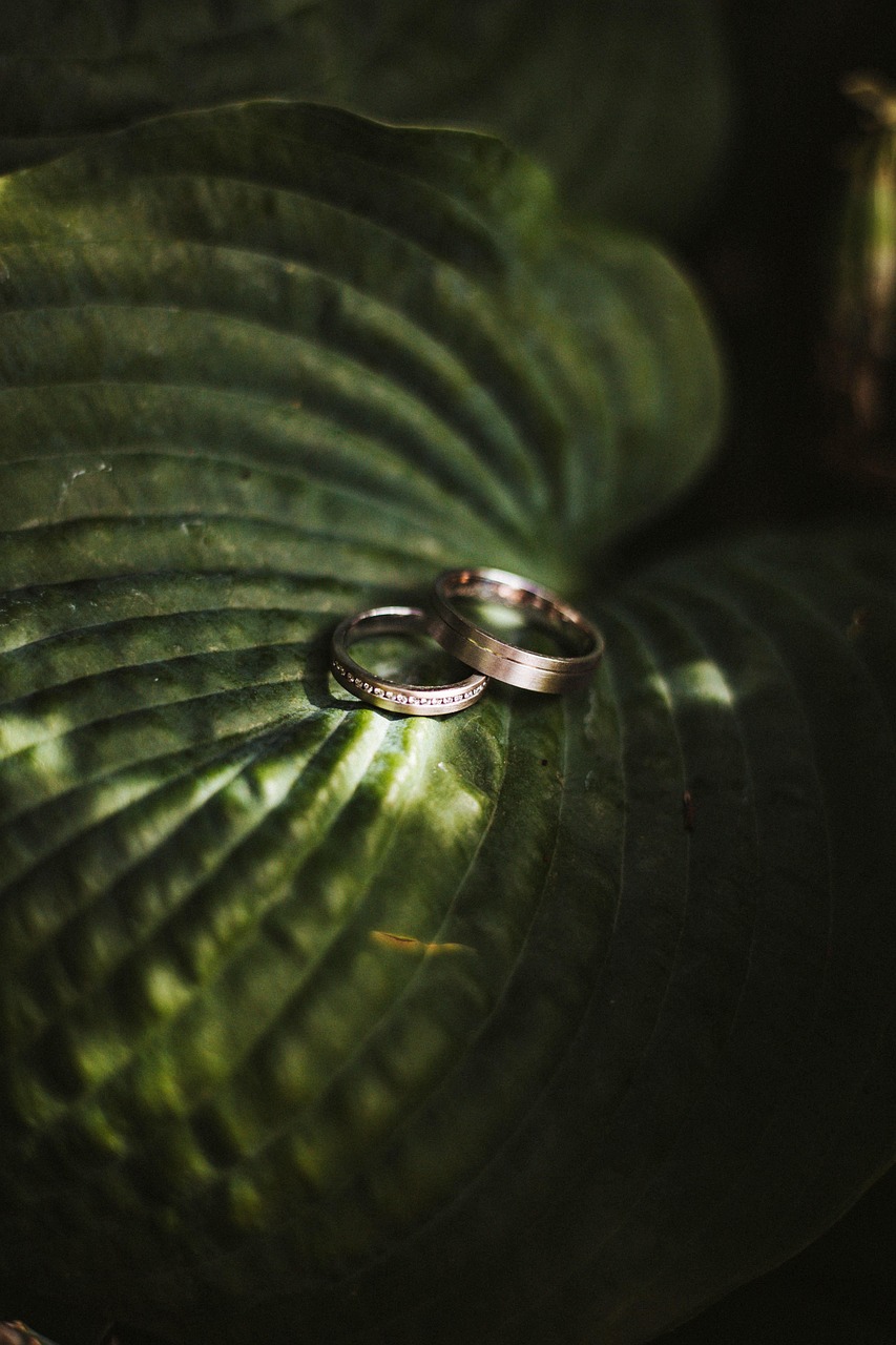 500 Wedding Rings: Celebrating a Classic Symbol of Commitment Introduction