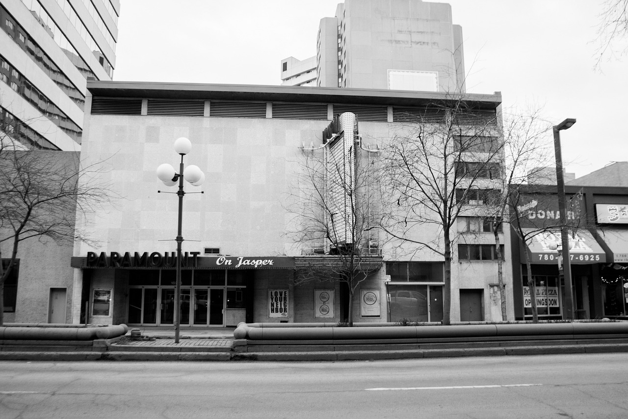 AMC Theatre and its Shareholders