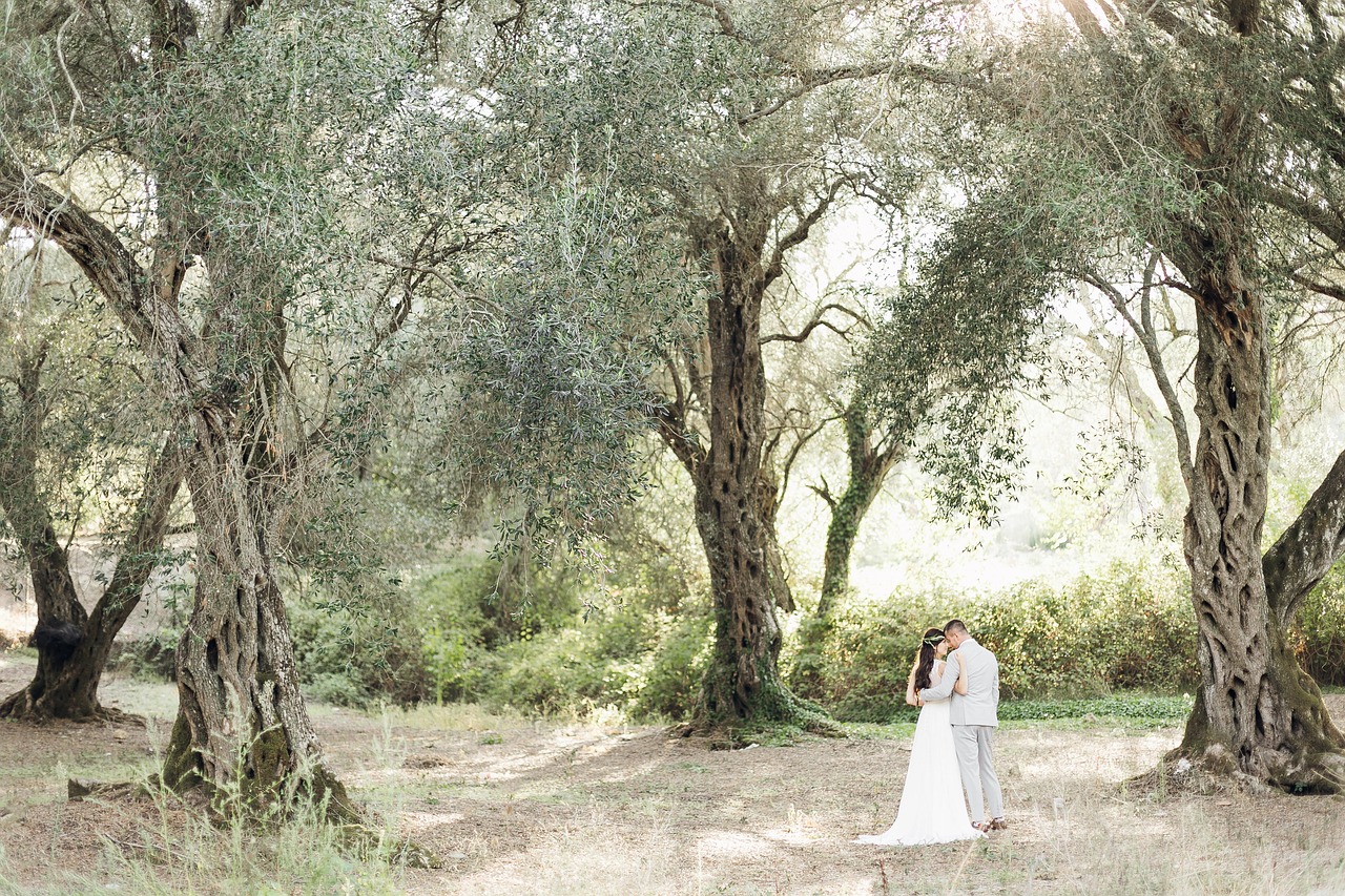 Exciting Travel Wedding, Married Plus Honeymoon