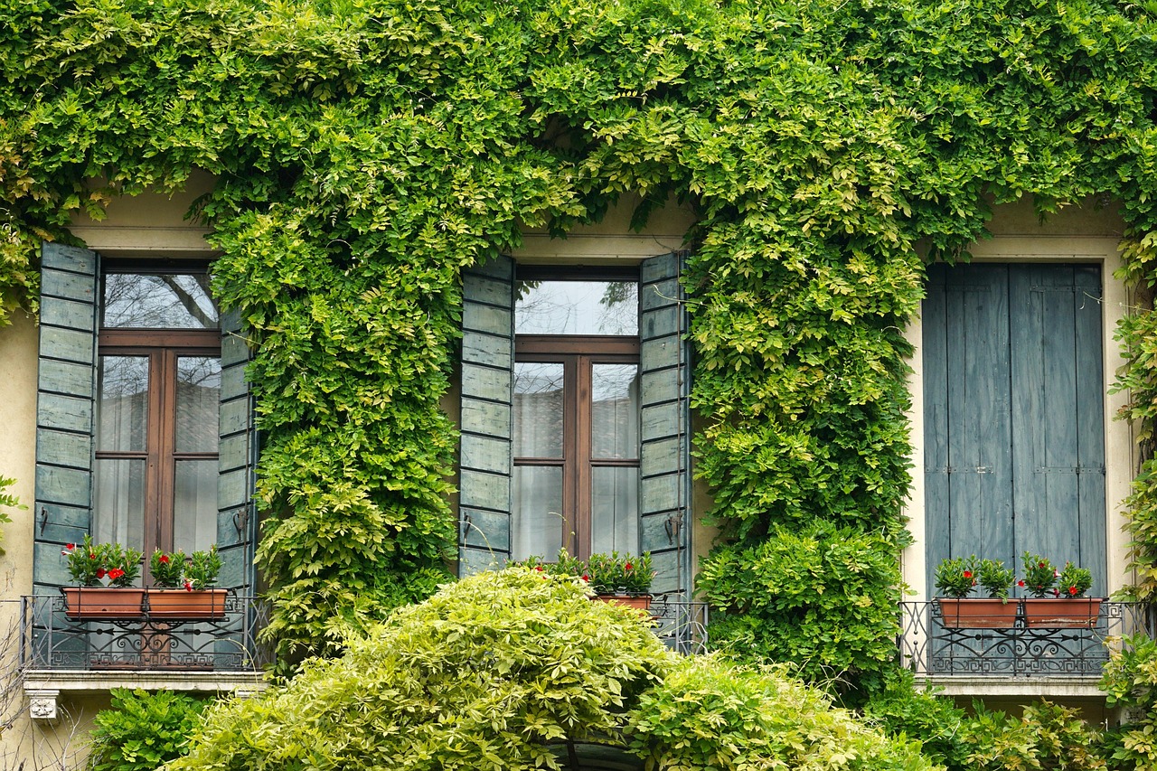 Windows for Surrey Homes — What You Need to Know