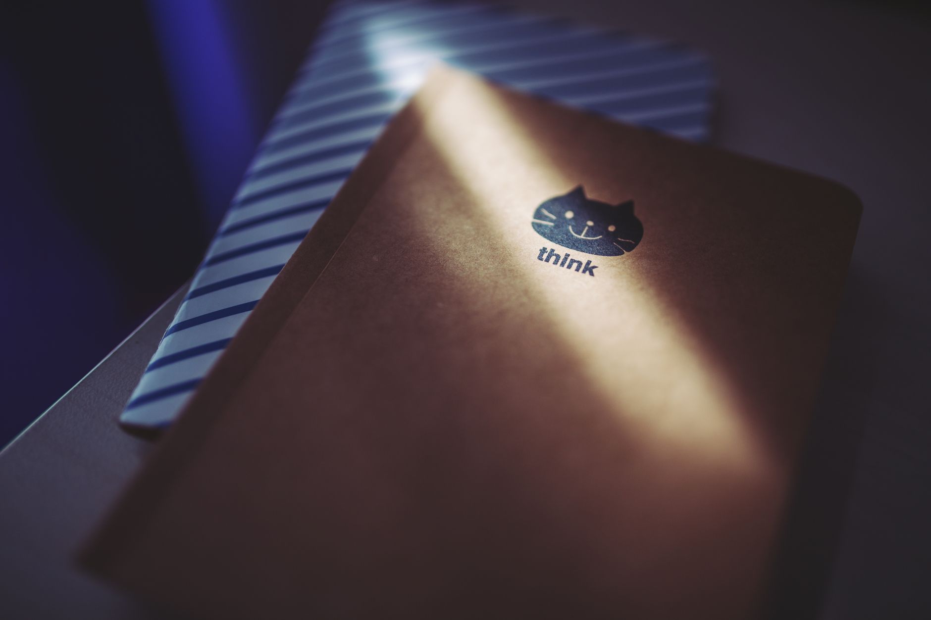 What Does ‘Save the Manuals’ Really Mean