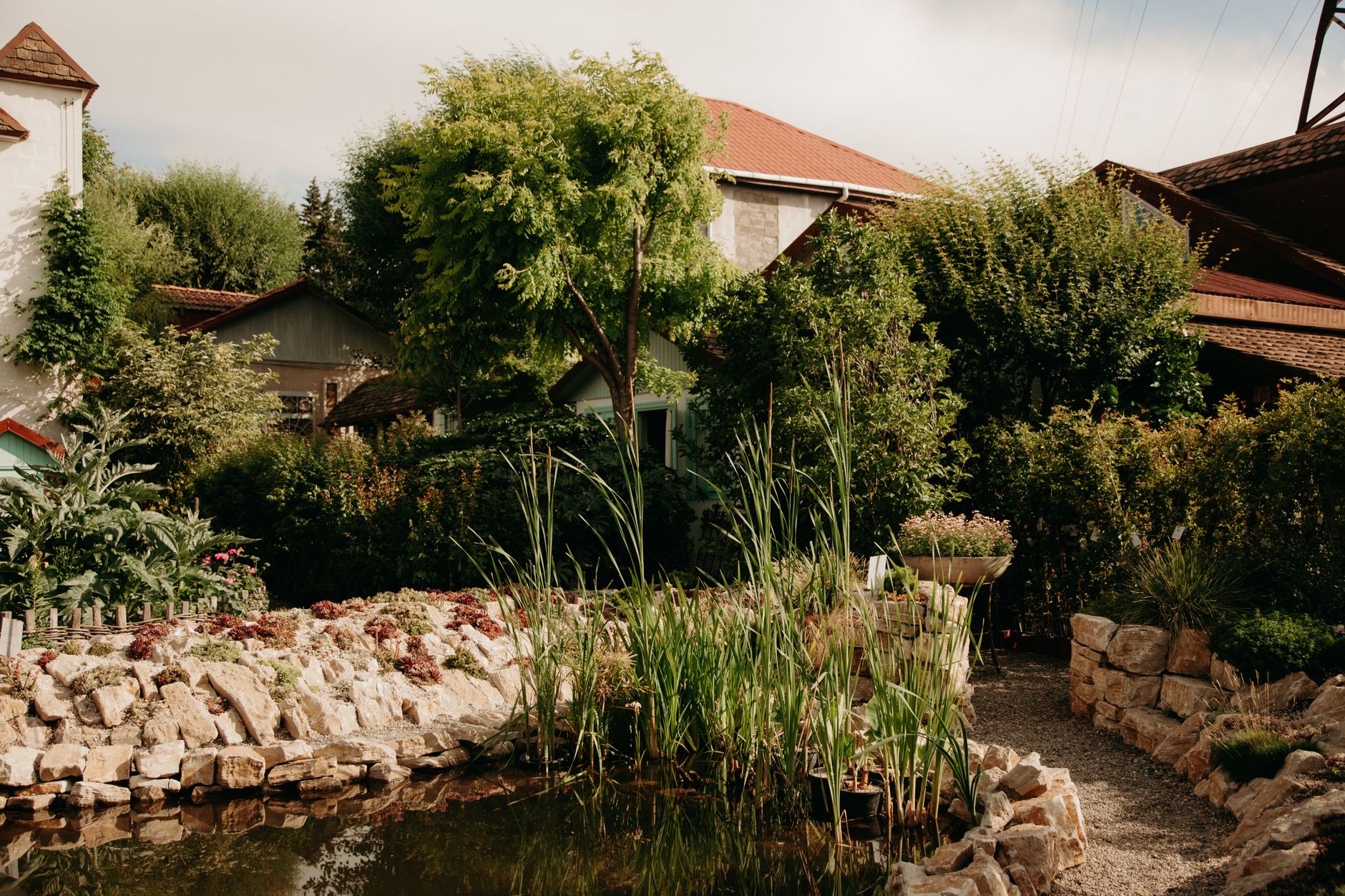 Intro to Backyard Ponds and Lakes