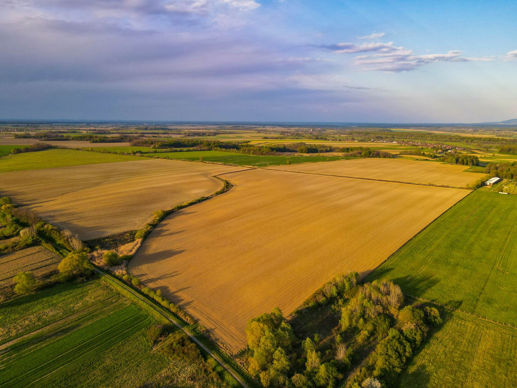 Sell Land Fast in Illinois: A Complete Guide to Turning Vacant Acreage into Cash
