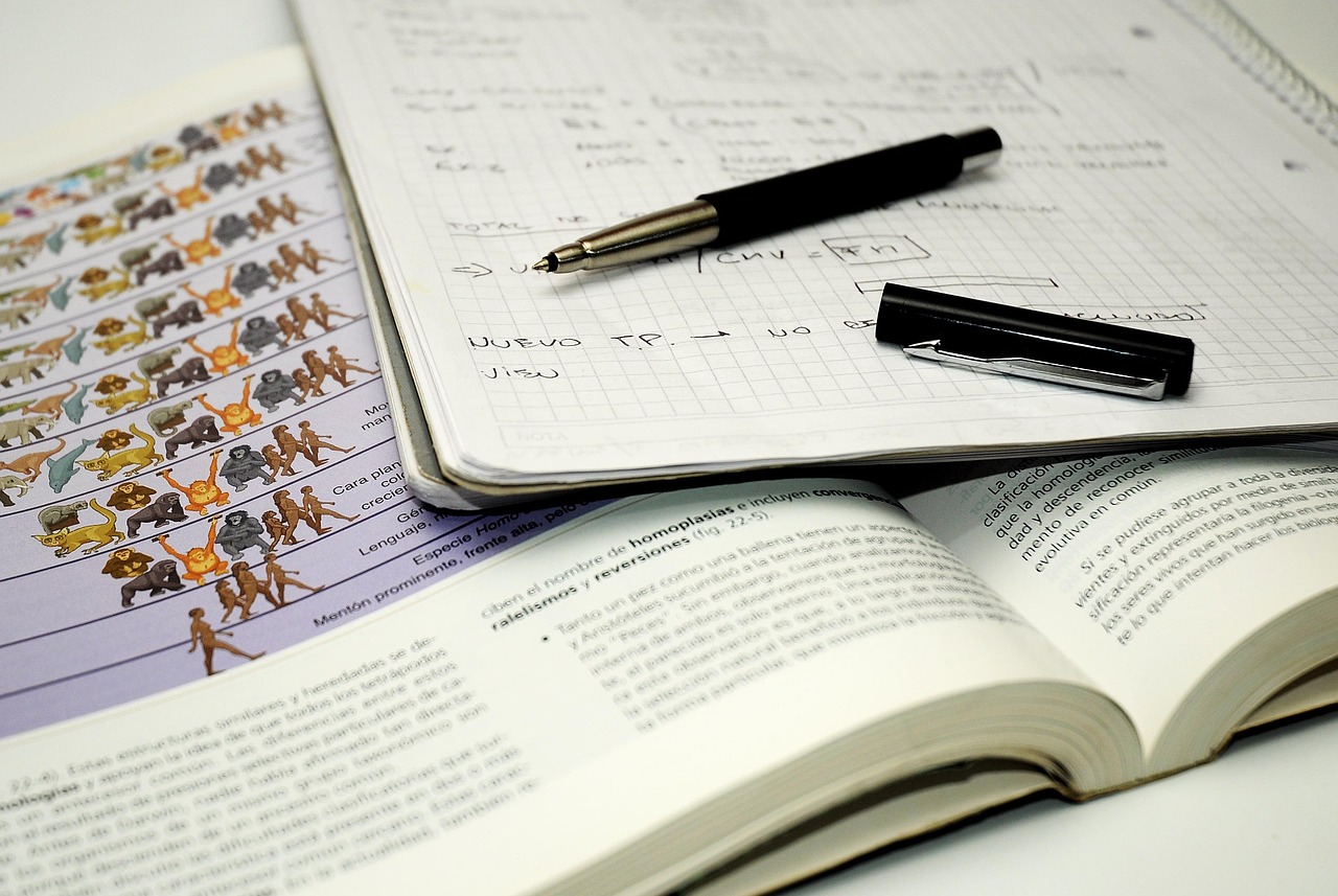 Why Debtor’s Exams Focus So Heavily on a Debtor’s Assets