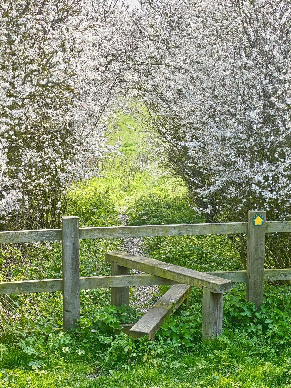How to Choose Security Fencing