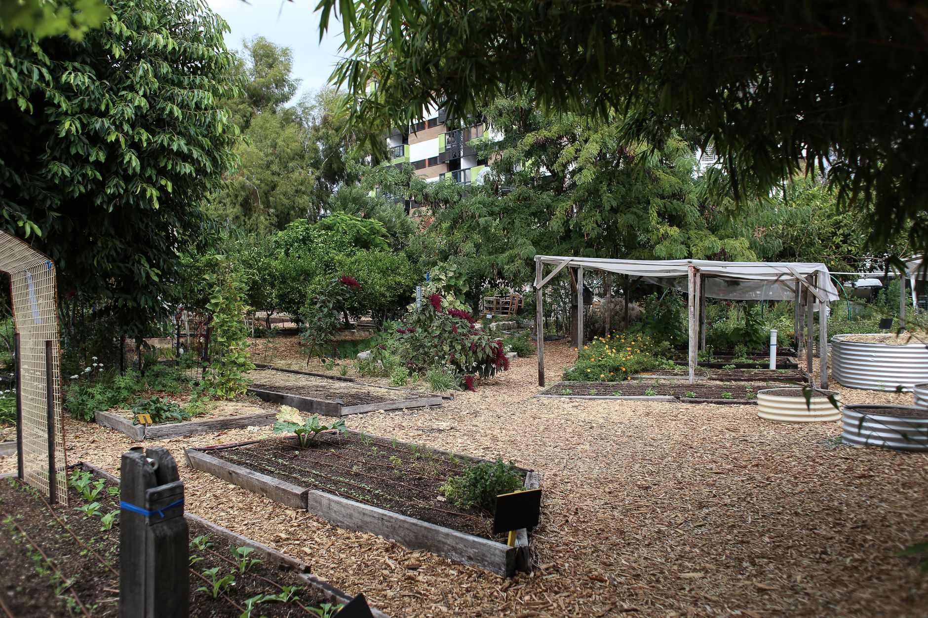 Grahame Park’s Garden of Gems: Lab Grown Engagement Rings