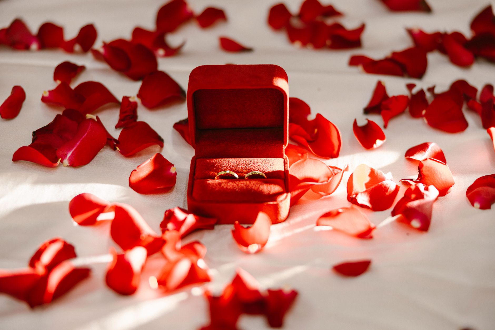 Pershore Passion: Navigating the World of Engagement Rings