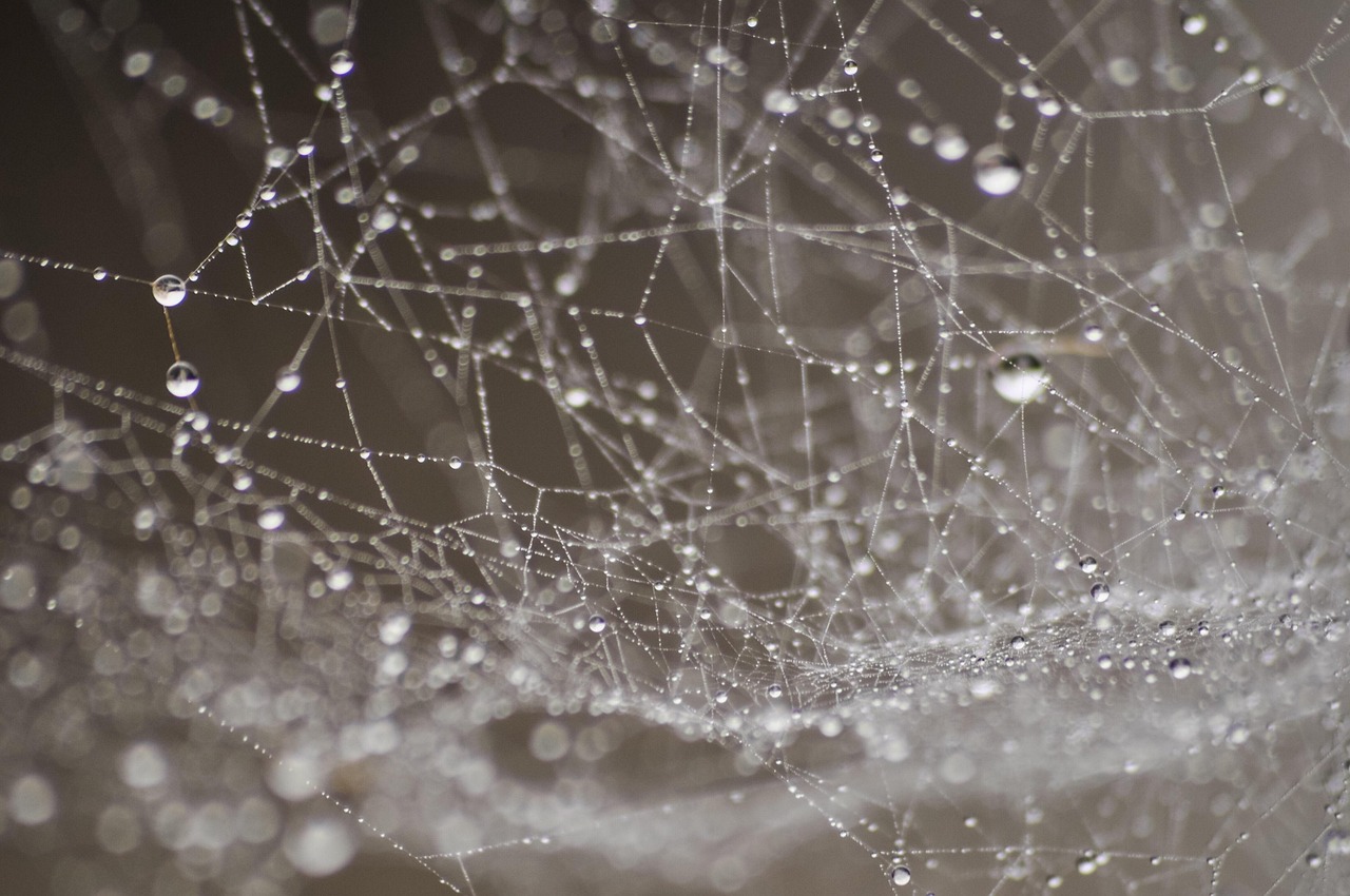 A Comprehensive Guide To Web Hosting Costs