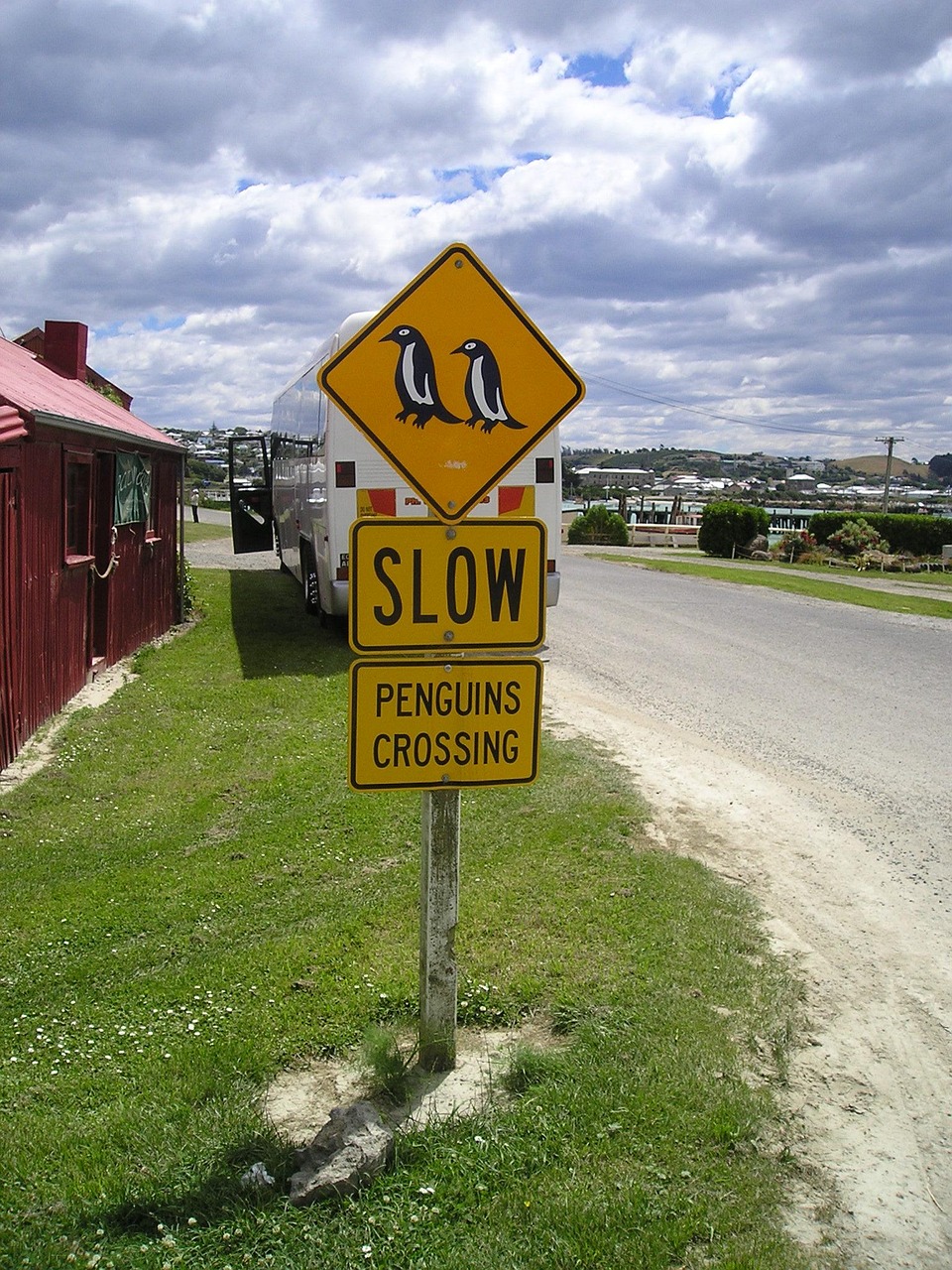 Tips To Get Traffic To Your New Domain Name Fast