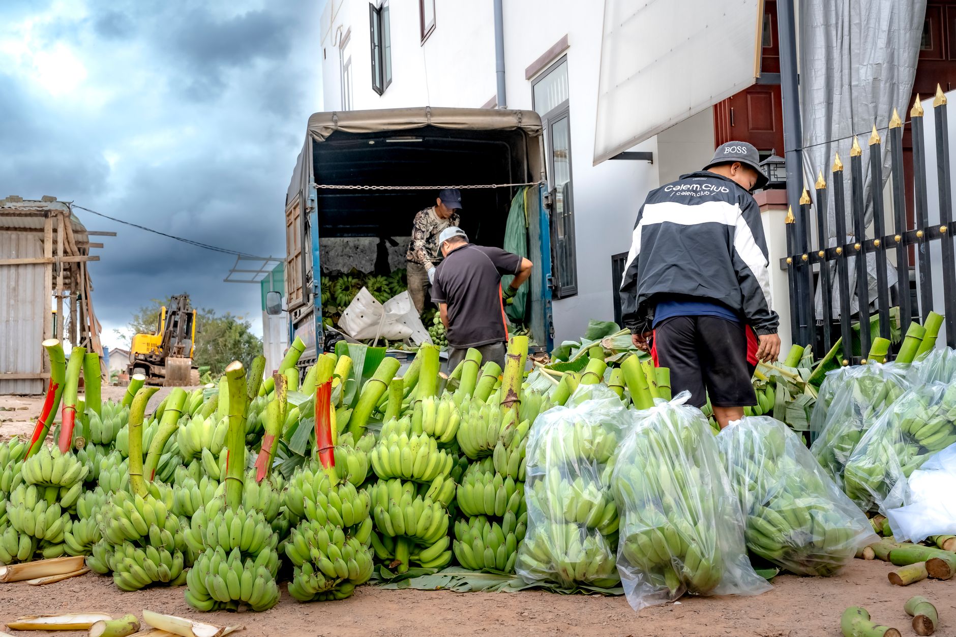 AI Transforms Food Supply Chains with Data Insights