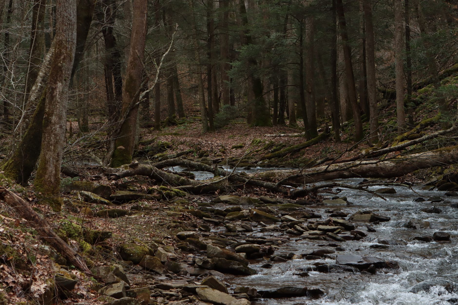 West Virginia tops for affordable outdoor escapes