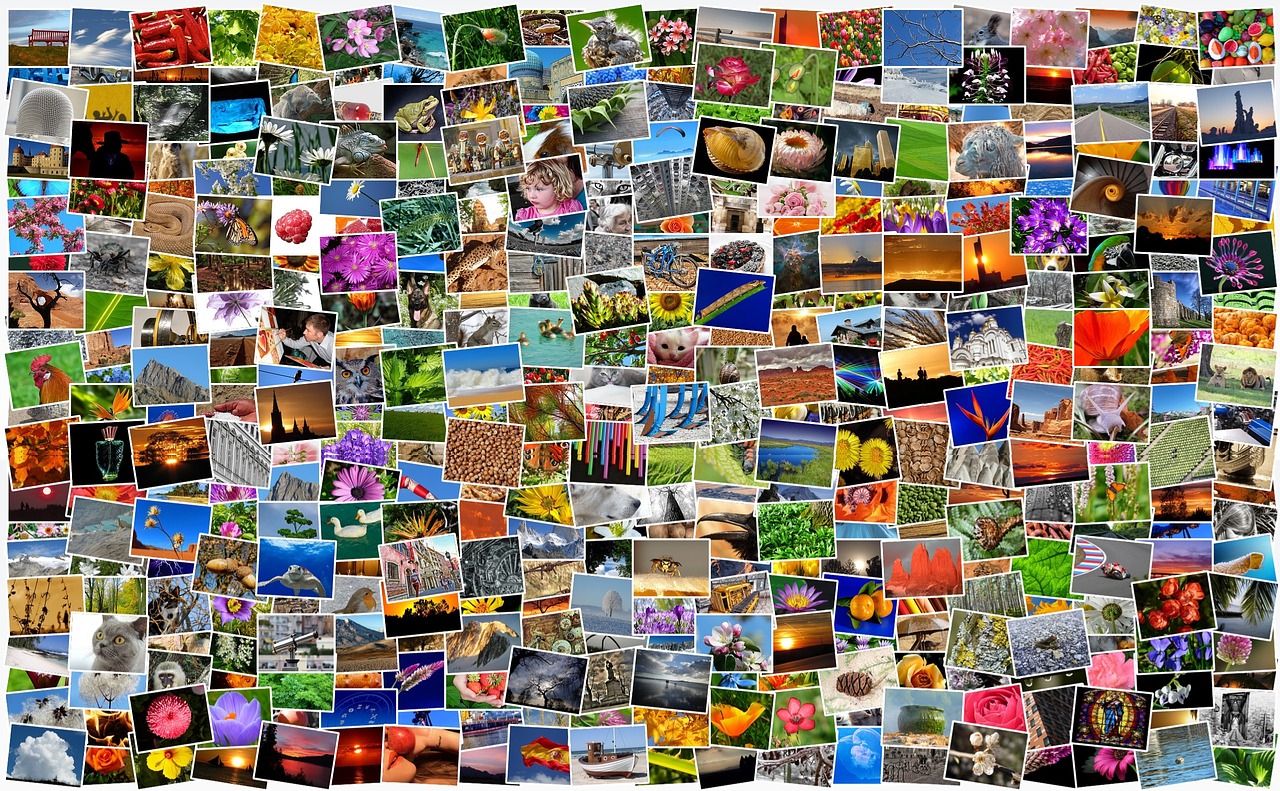 Caring for your photo albums at home