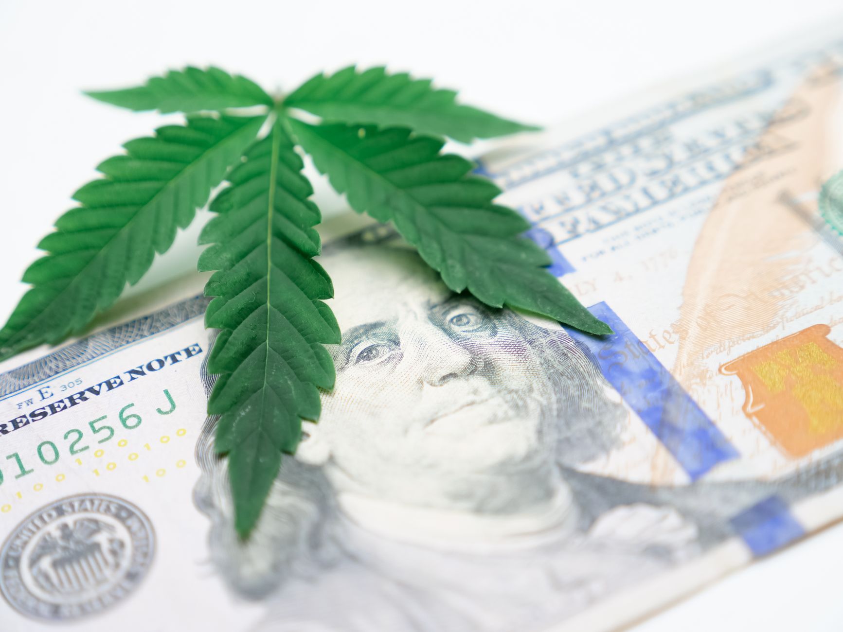 How To Switch Careers Into The Cannabis Industry In 2021