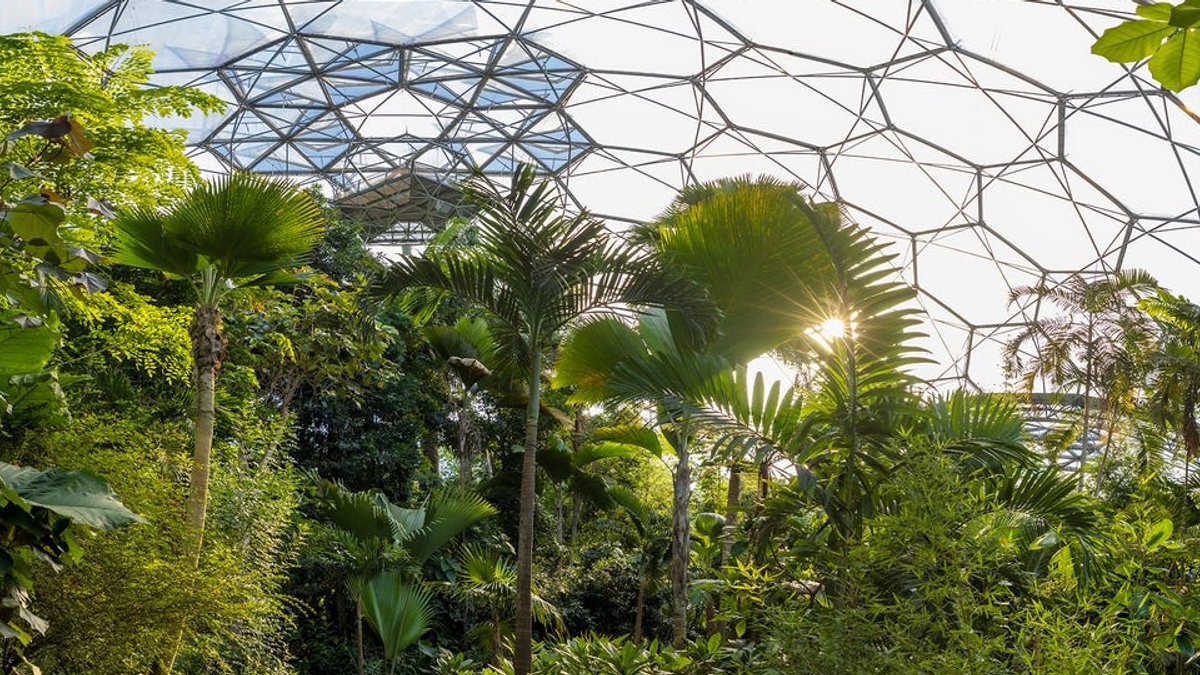 Eden Project marks a quarter century - eden project