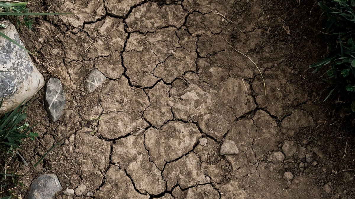 Subsidence claims hit record £20k amid heatwave Subsidence claims hit record £20k amid heatwave - subsidence claims