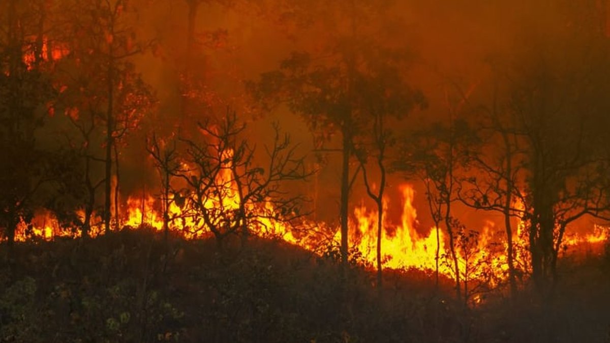 Indonesia faces higher asset seizure risks than haze Indonesia faces higher asset seizure risks than haze - asset seizure risks