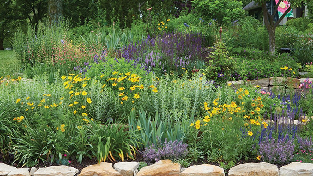 Terraced Perennial Border Bursts With Colorful Texture - terraced perennial border