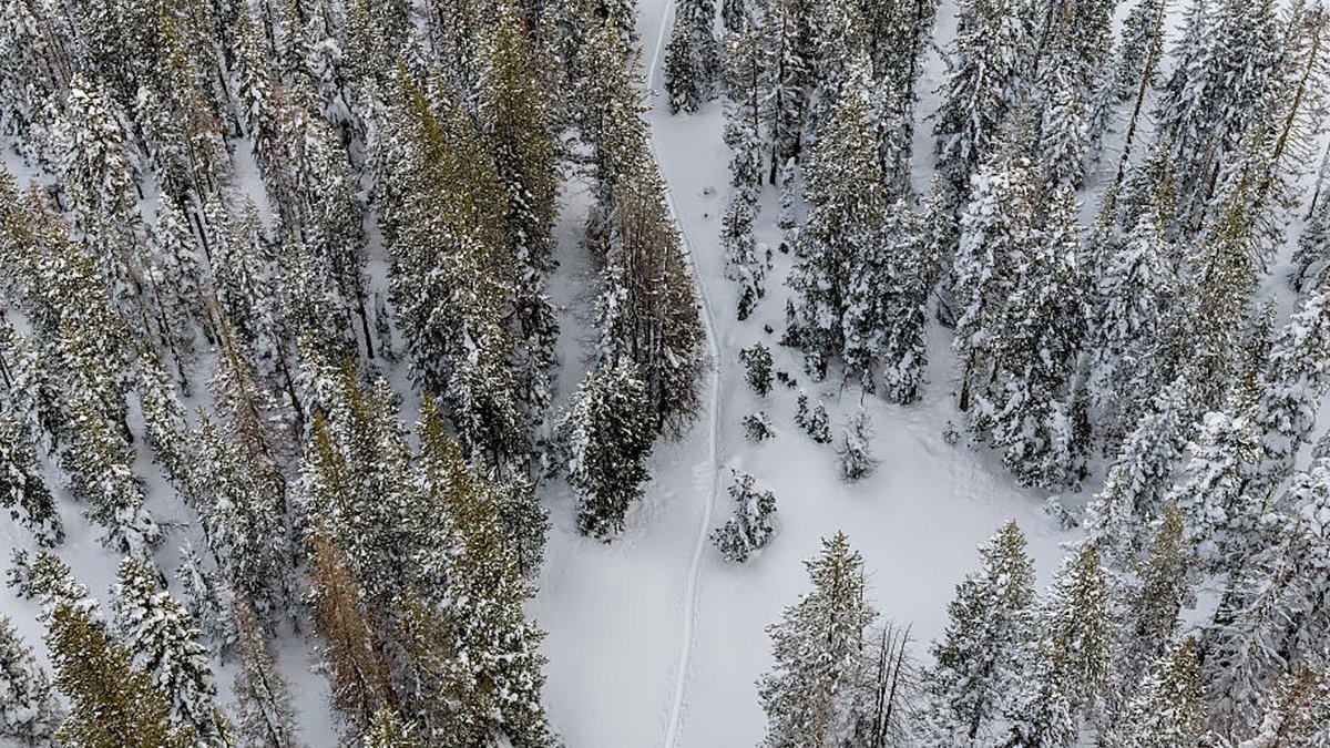Guiding firm fined heavily after Tahoe avalanche - avalanche safety
