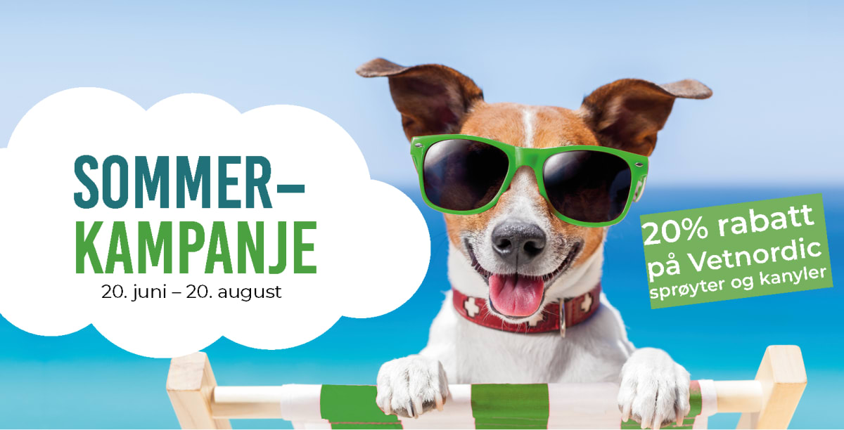 Sommerkampanje
