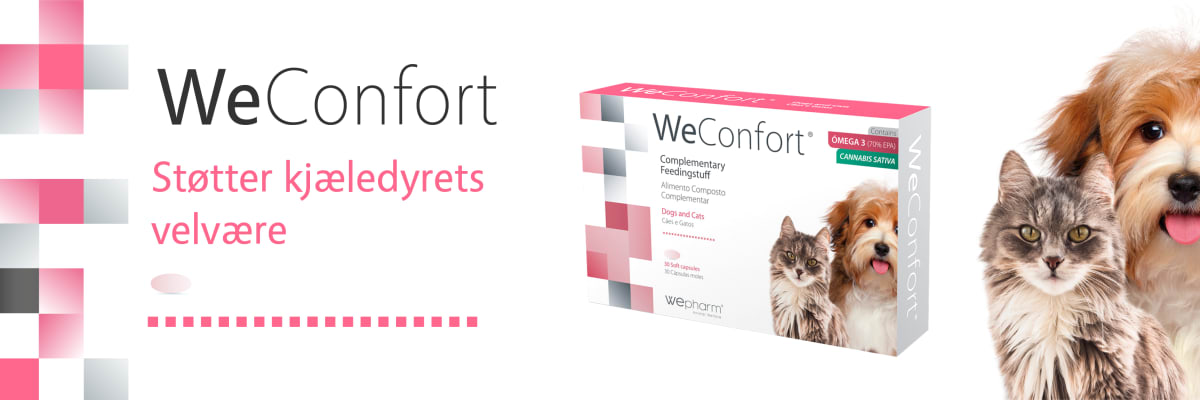 WeConfort