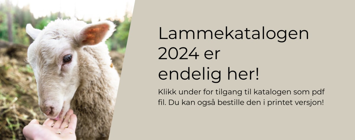 Lammekatalogen 2024