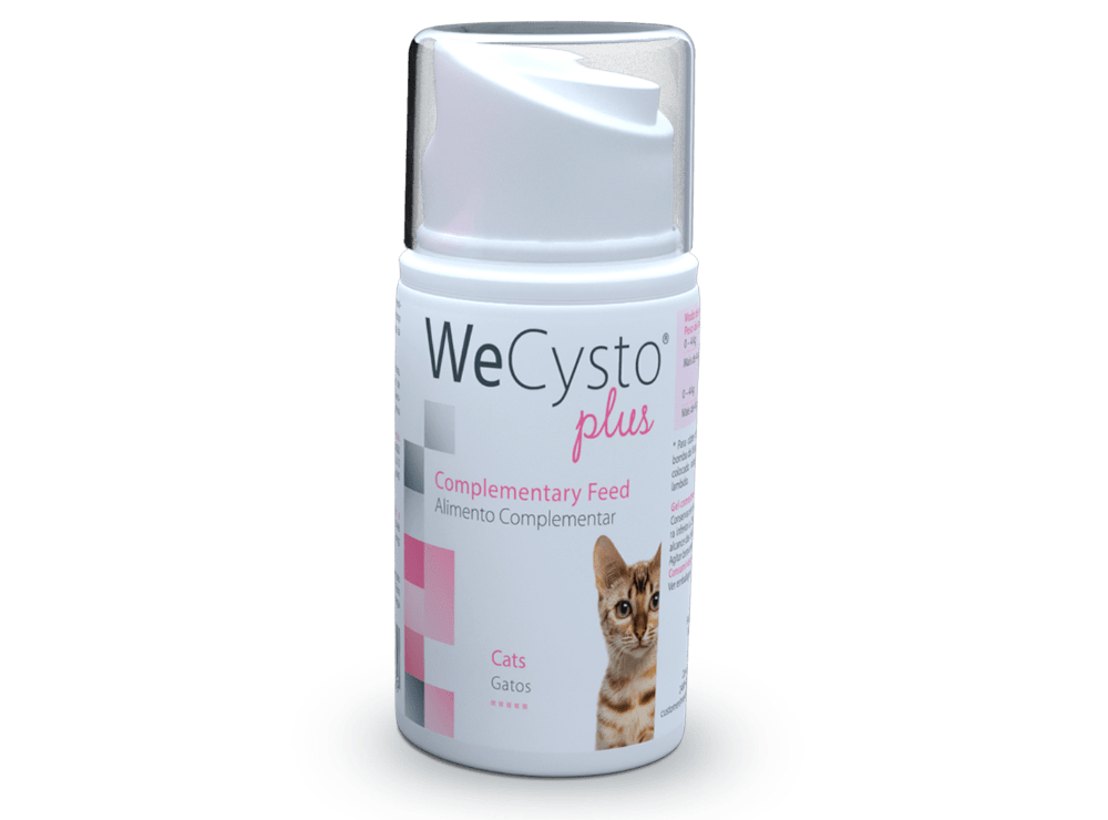 Wepharm WeCysto Plus Flaske 50 ml