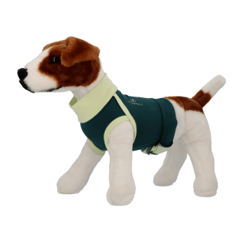 Vetnordic Body +PRO til hund