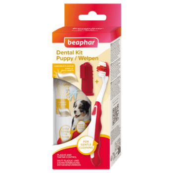 Beaphar Startpakke til valp, Tannkrem og Børste, stk
