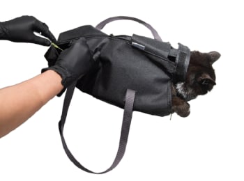 Injeksjonsbag til katt