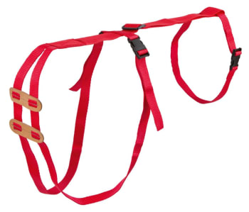 Prolaps Fremfallsele for Sau