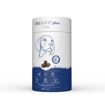 Wepharm WeJoint Plus Tasty Large Breeds Kassesalg 8 stk