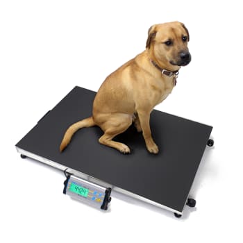 HUNDEVEKT Digital 150 kg / 90x60 cm m/ gummi matte